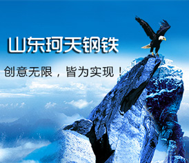 山东珂天钢铁有限公司